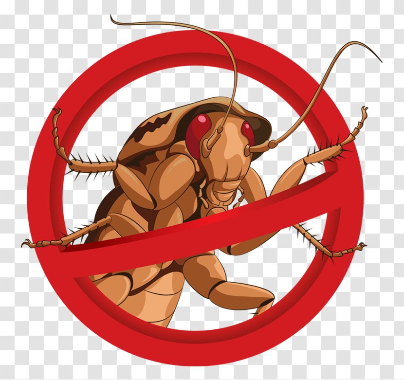 Cockroach Mosquito Pest Control Illustration - Card Stock - Prohibit Insect Pixels Transparent PNG