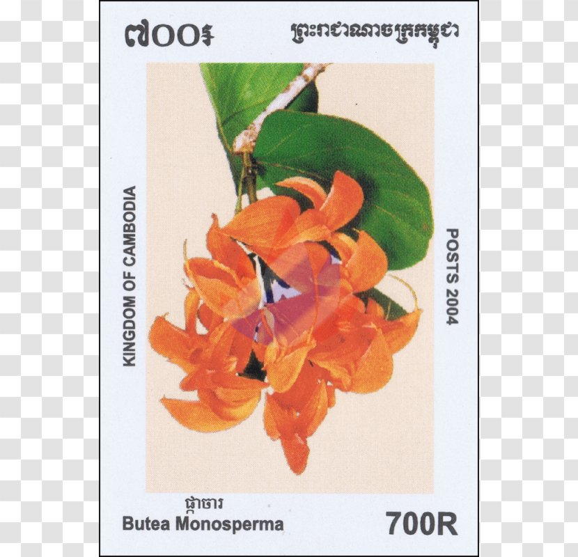 Postage Stamps Wildflower Bulletin Board Mail - Bulgarian - Flower Transparent PNG