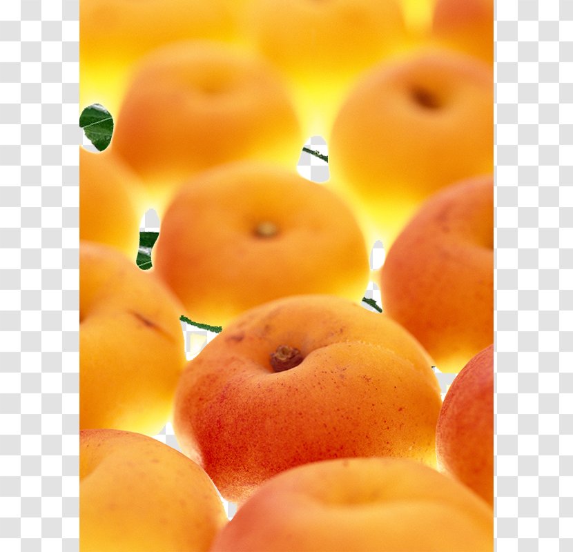 Apricot Clementine Auglis Fruit - Peel - Yellow Transparent PNG