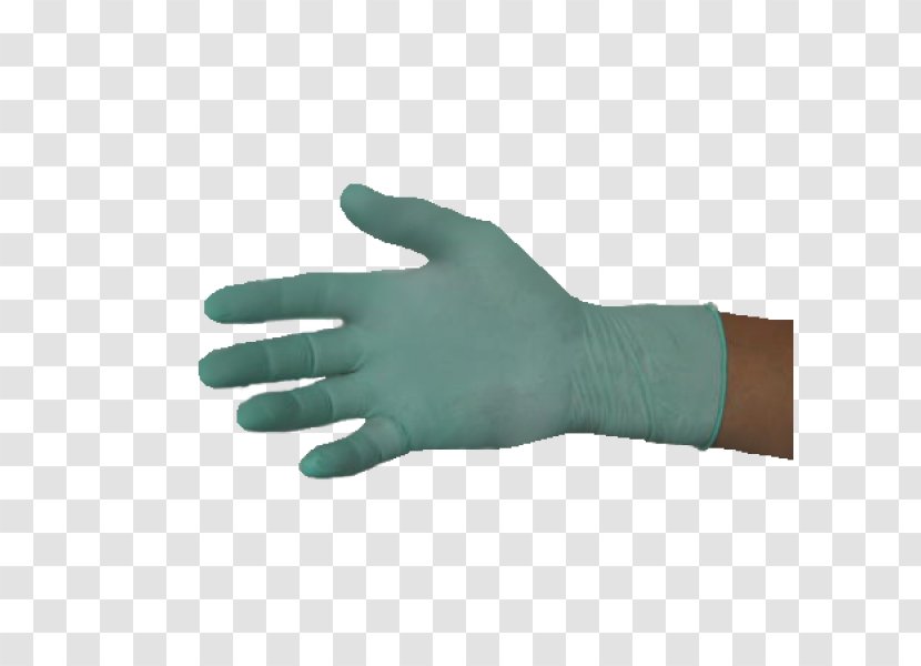 Thumb Hand Model Medical Glove Transparent PNG