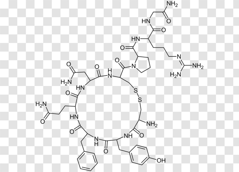Vasopressin Antidiuretic Molecule Hormone Chemistry - Parallel - Oxytocin Transparent PNG