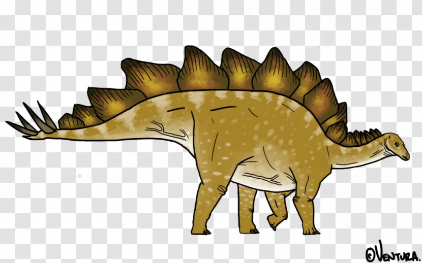Tyrannosaurus Jaw Snout Extinction Cartoon - Mythical Creature - Stegosaurus Transparent PNG