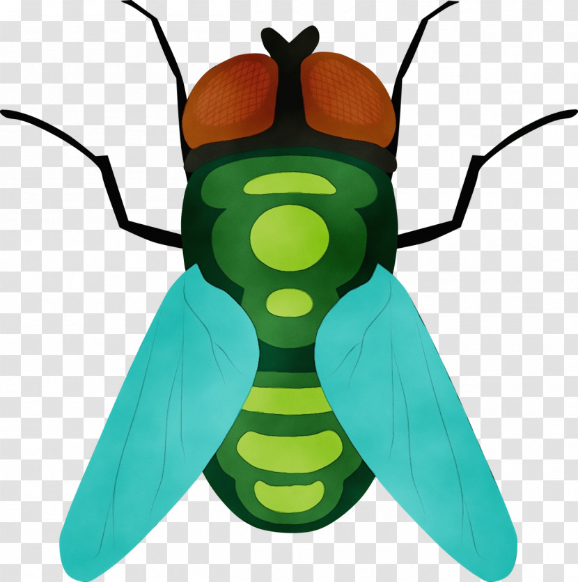 Insect Insect Wing Fruit Flies Fly Common Fruit Fly Transparent PNG