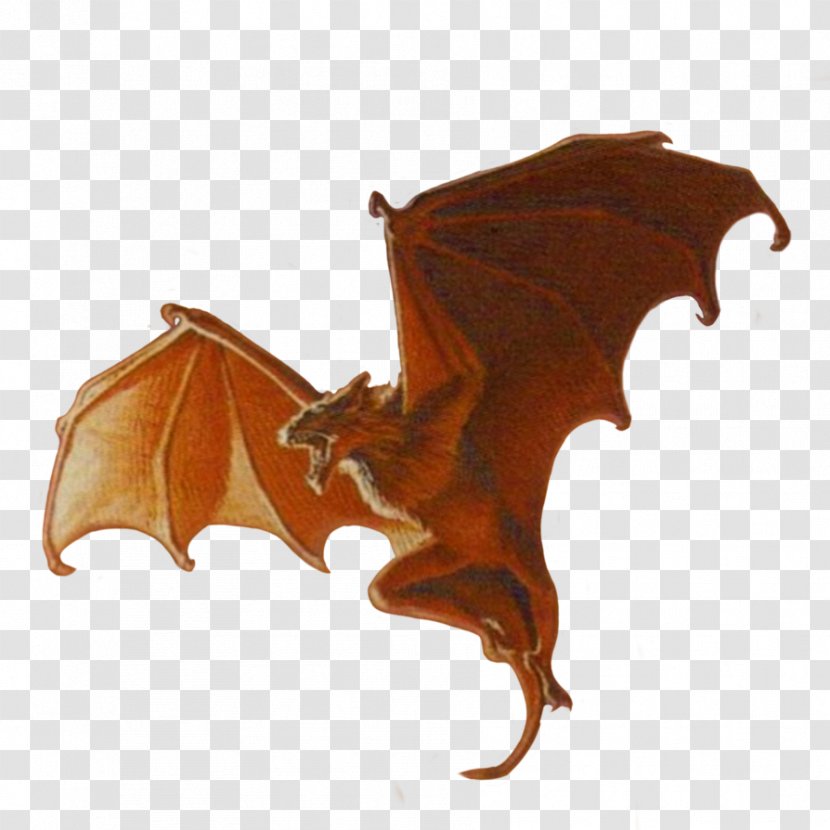 Leaf Legendary Creature - Animals Bat Transparent PNG