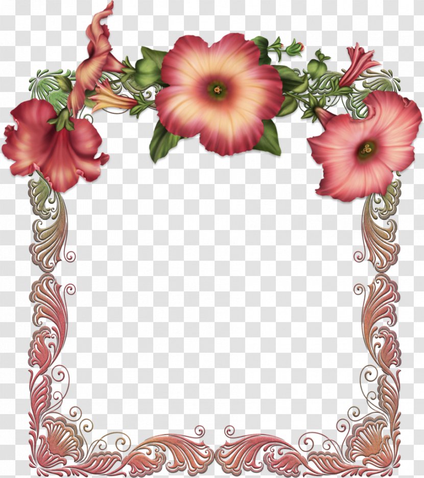 Picture Frames Molding Flower - Malvales - Design Transparent PNG