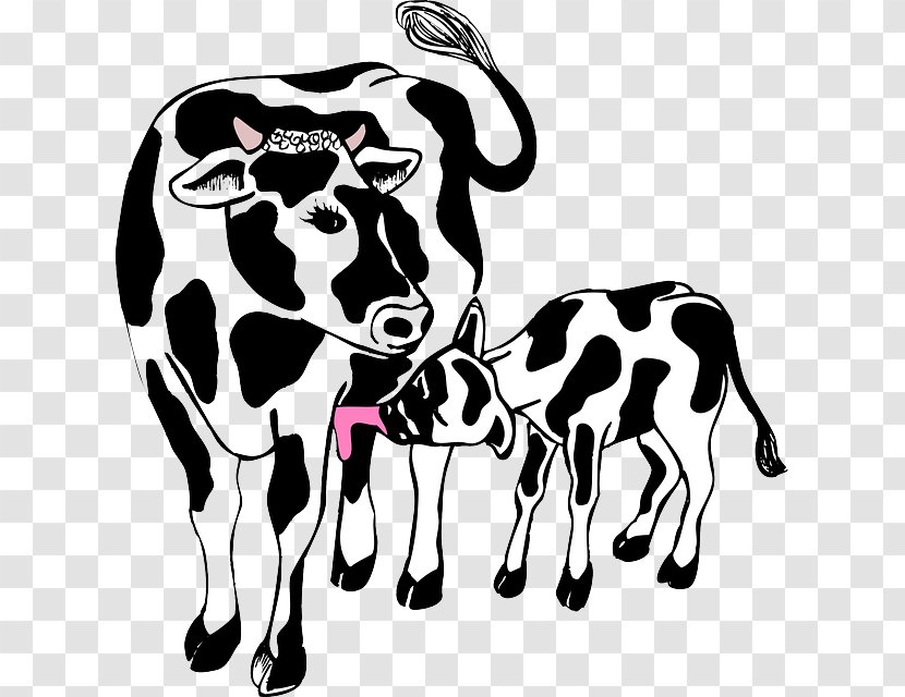 Angus Cattle Cow-calf Operation Hereford Clip Art - Black And White Transparent PNG