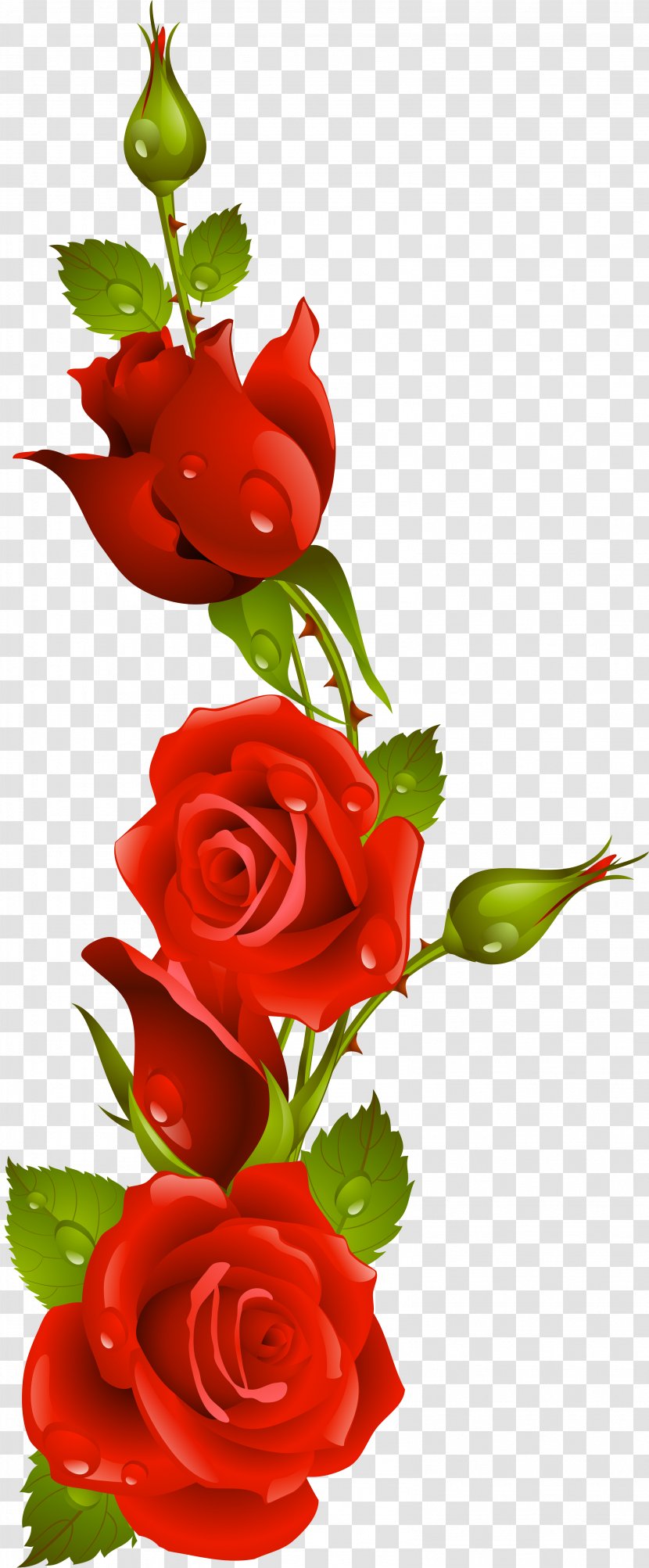 International Kissing Day Night Love - Flower Arranging - Red Rose Transparent PNG