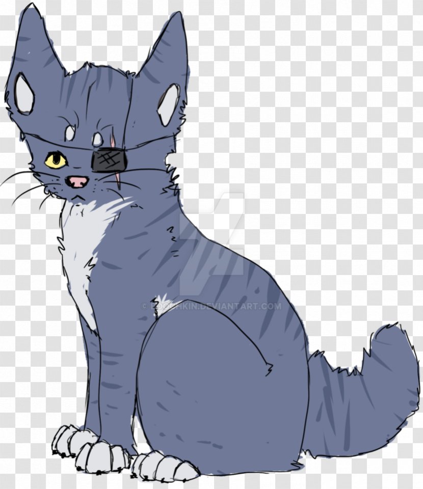 Whiskers Kitten Wildcat Domestic Short-haired Cat - Small To Medium Sized Cats - Pirate Sketch Transparent PNG