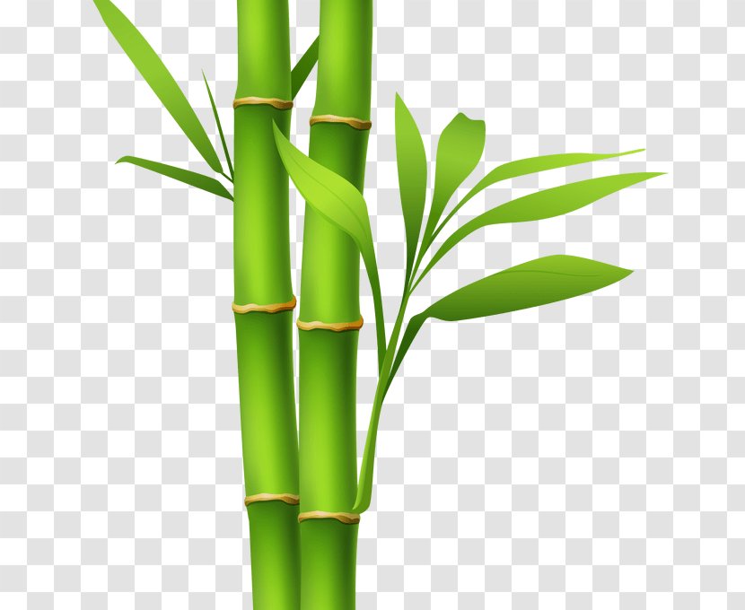Bamboo Clip Art Image Desktop Wallpaper - Flowerpot Transparent PNG