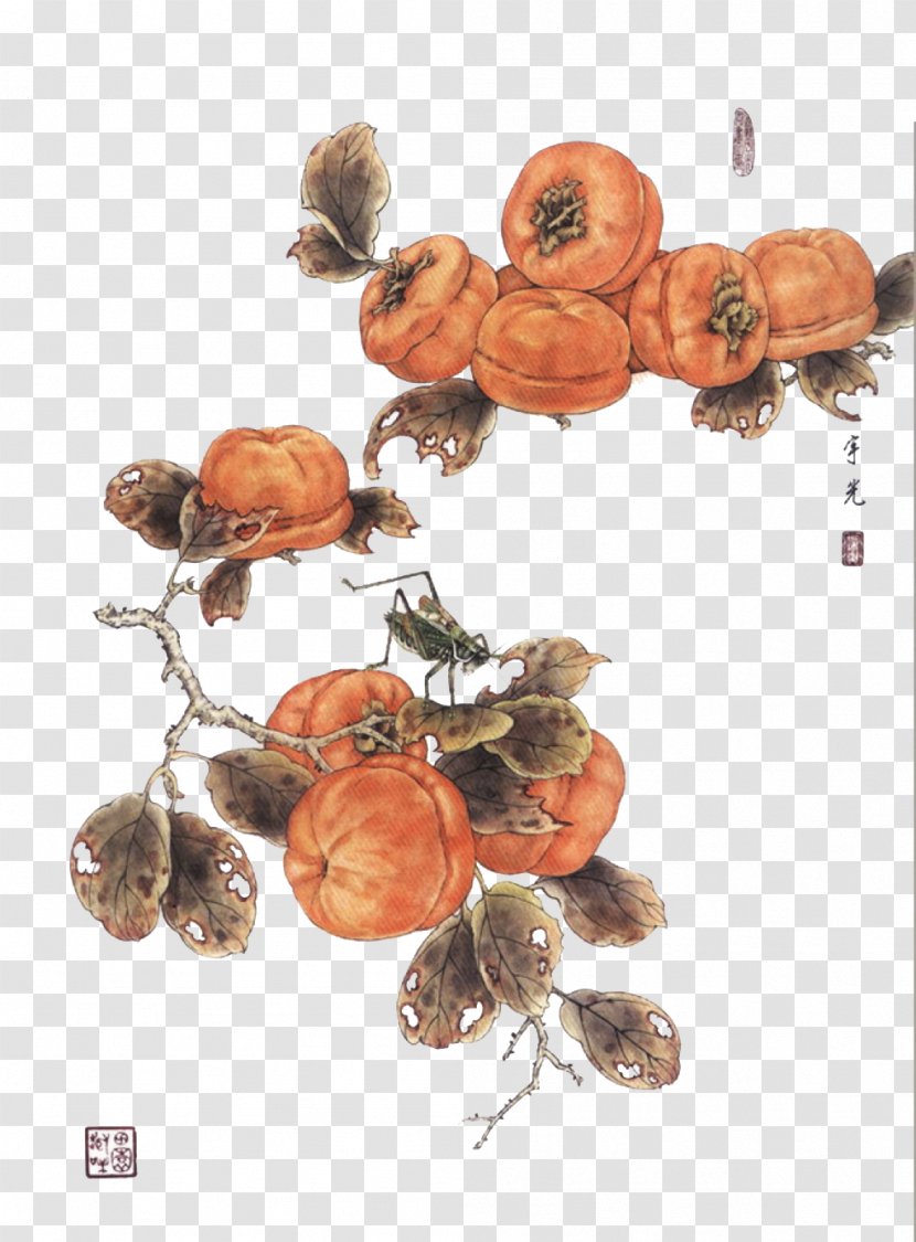 Chinese Painting Gongbi Ink Wash Bird-and-flower - Heart - Meticulous Persimmon Transparent PNG