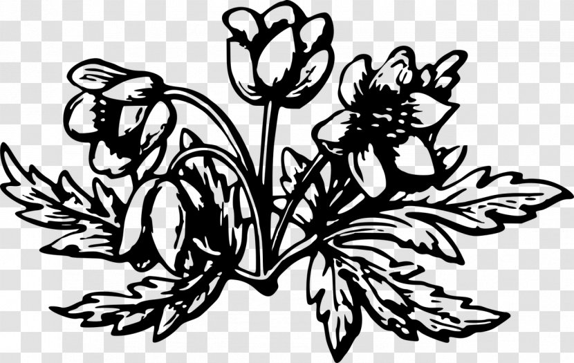 Black And White Clip Art - Monochrome Photography - Flowering Plant Transparent PNG