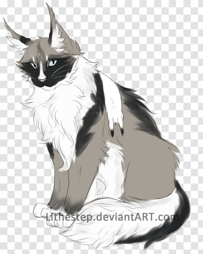 Whiskers Domestic Short-haired Cat Drawing /m/02csf - Cartoon Transparent PNG