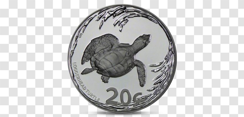 Tortoise Pond Turtles Sea Turtle - 20 Cent Euro Coin Transparent PNG