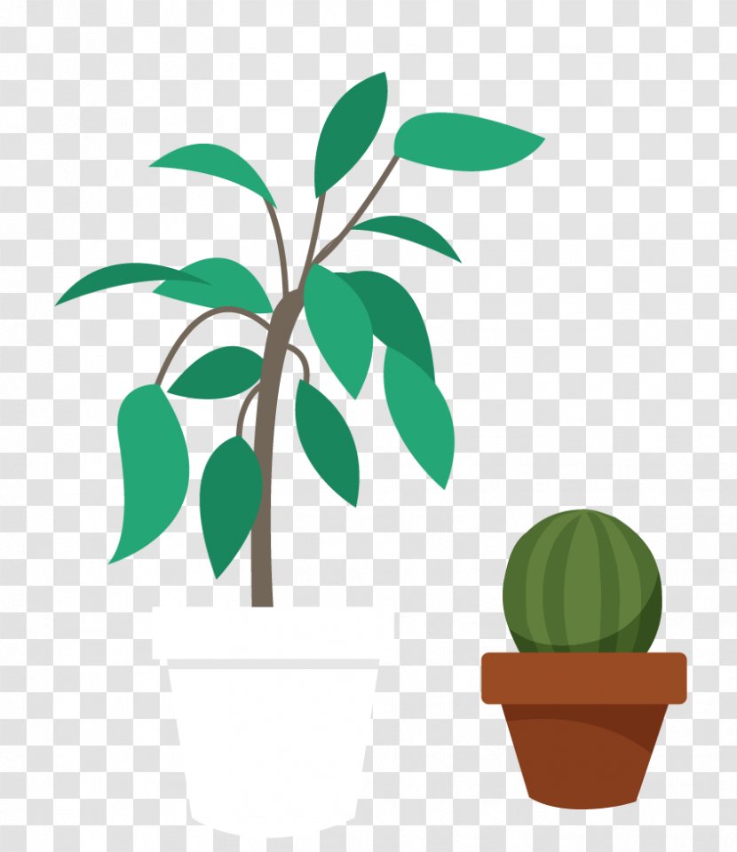 Euclidean Vector Q-Net Blog Certification - Plant Stem - Flat Green Cactus Transparent PNG
