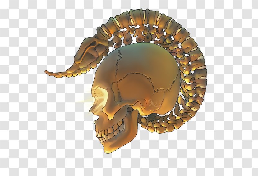 DeviantArt Skull Art Croquis Craft - Handicraft - Fantastic Transparent PNG