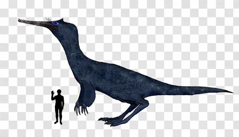 Velociraptor Dinosaur Ornithomimosauria Therizinosaur Oviraptoridae - Extinction Transparent PNG