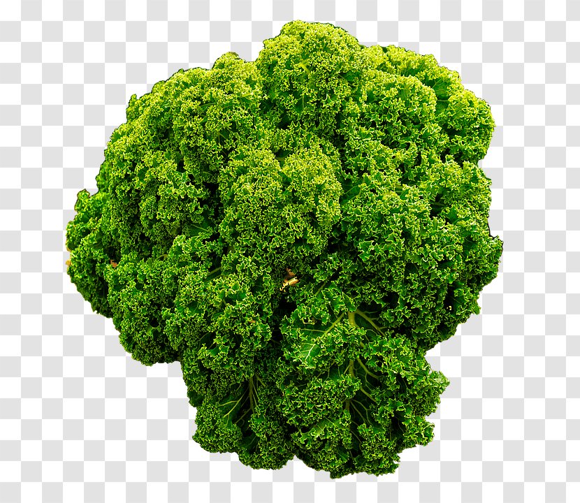 The Virgin Diet Food Kale Vegetable Health - Feingold Transparent PNG