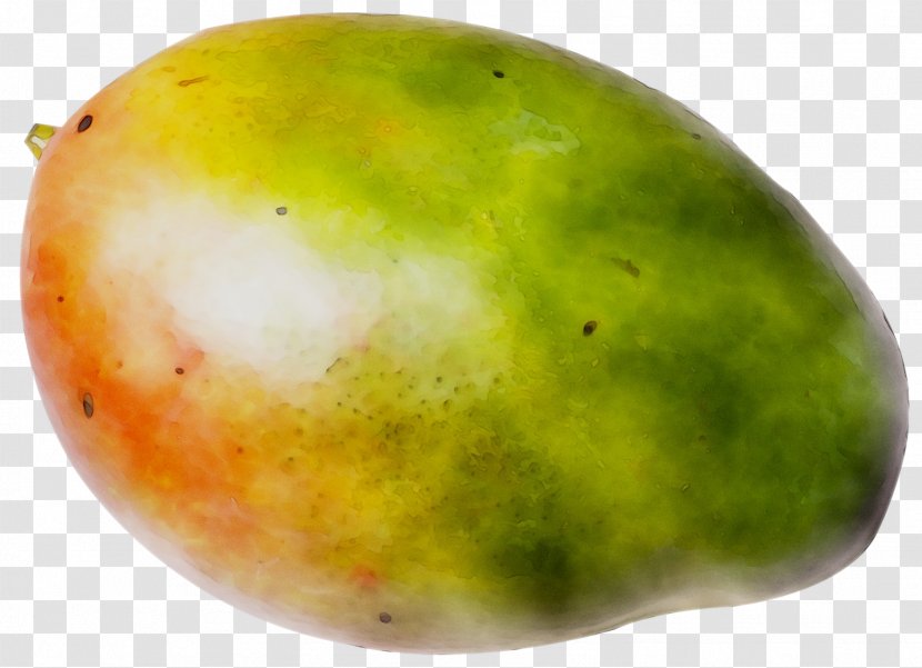 Mango - Fruit - Plant Transparent PNG