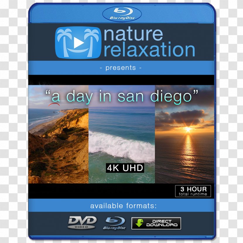 4K Resolution 1080p Display Ultra-high-definition Television - Flower - Natural Scene Transparent PNG
