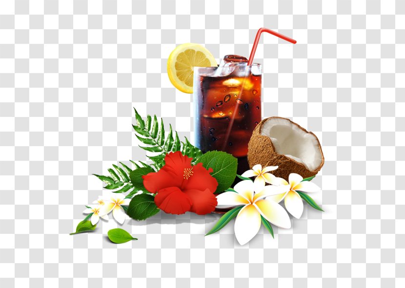 Beach Poster Auringonotto - Tree - Drinks Transparent PNG