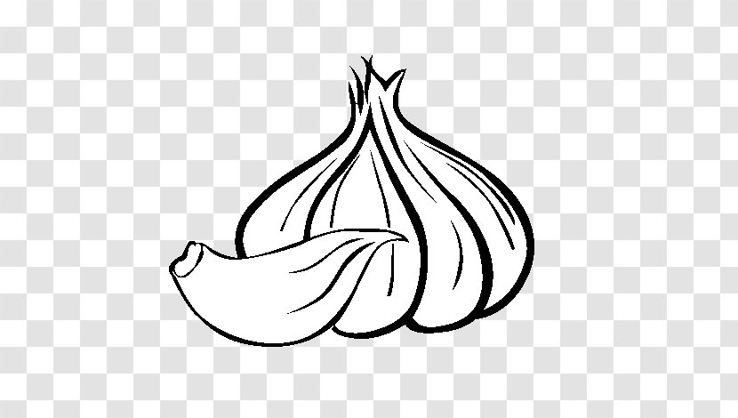 Garlic Drawing Food Vegetable Painting - Flower Transparent PNG