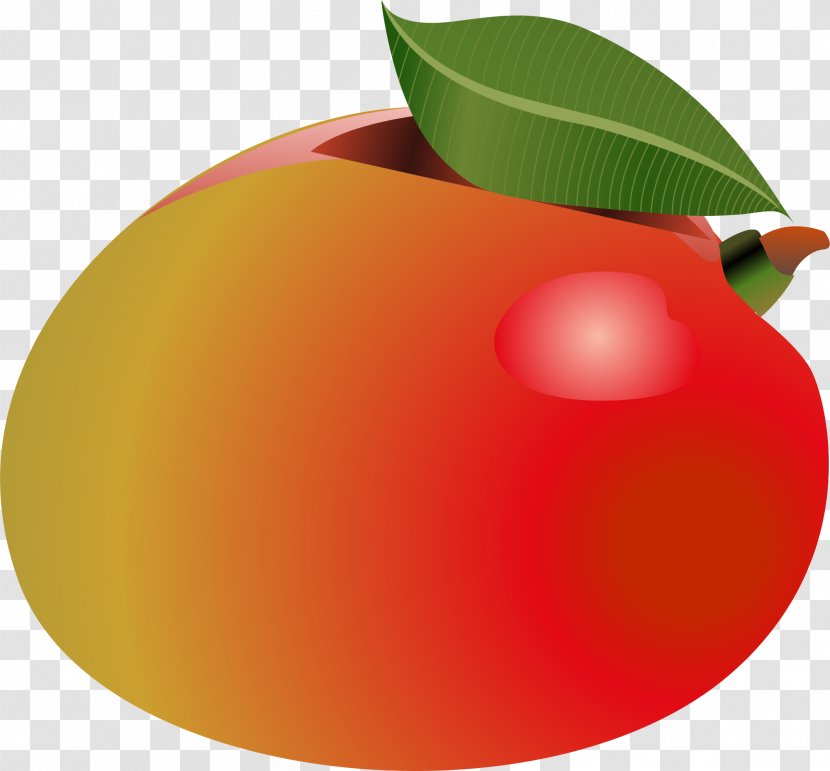 Red Orange Wallpaper - Peach - Hand-painted Persimmon Transparent PNG