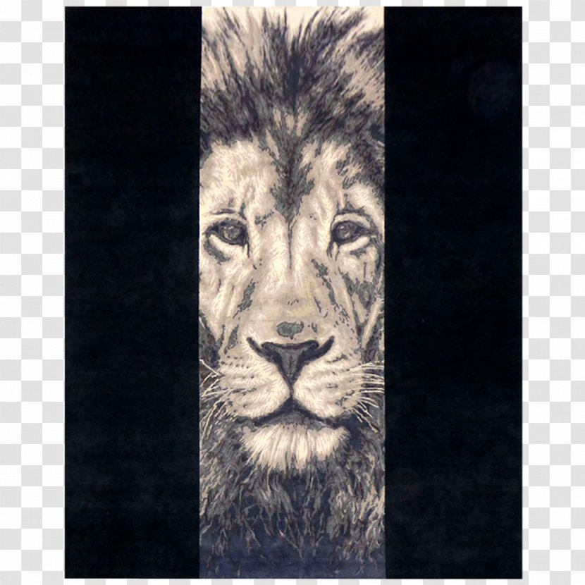 Lion Drawing Cat Tattoo Sketch - Fauna Transparent PNG