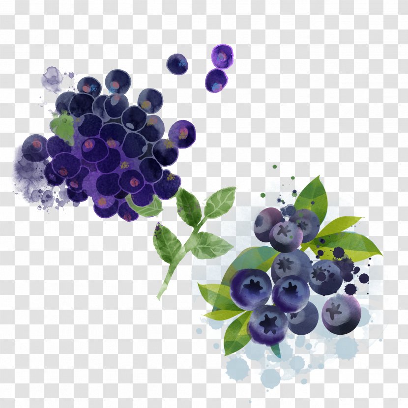 Bilberry Blueberry Pie Fruit - Hand-painted Transparent PNG