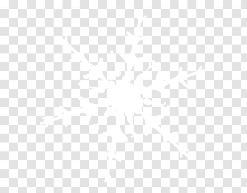 Drift Stars Snowflake Icon - Black - Ice Snowflakes Transparent PNG