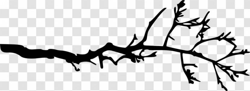 Branch Silhouette Tree - Twig Transparent PNG