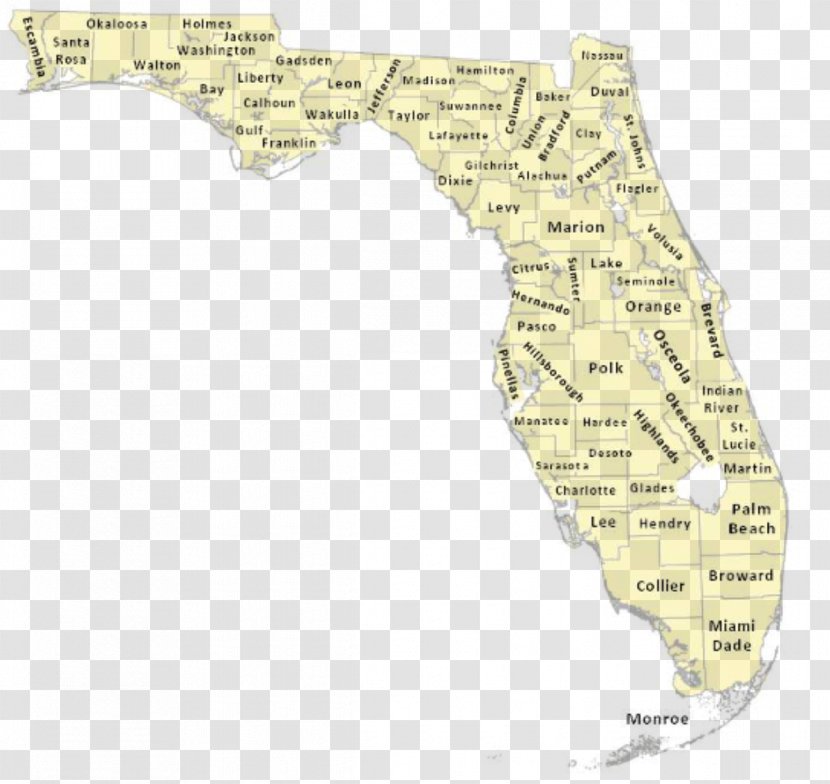 Bay County, Florida Martin County Pinellas Seminole Alachua - Text - Map Transparent PNG
