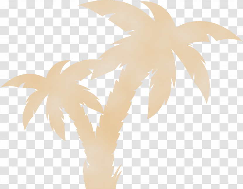 Palm Trees Transparent PNG