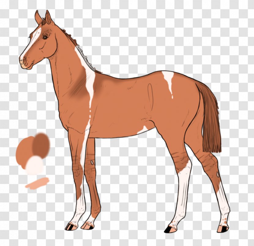 Mule Foal Stallion Mare Colt - Mustang Horse Transparent PNG