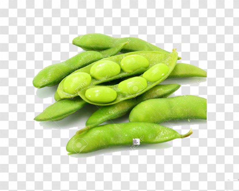 Edamame Indian Cuisine Japanese Soybean - Canning - Vegetable Transparent PNG