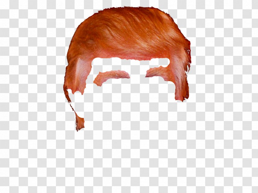 Hair Thepix Comb Clip Art - Donald Trump Transparent PNG