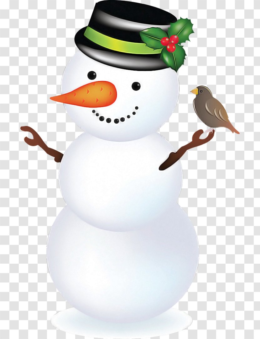 Snowman - Beak Bird Transparent PNG