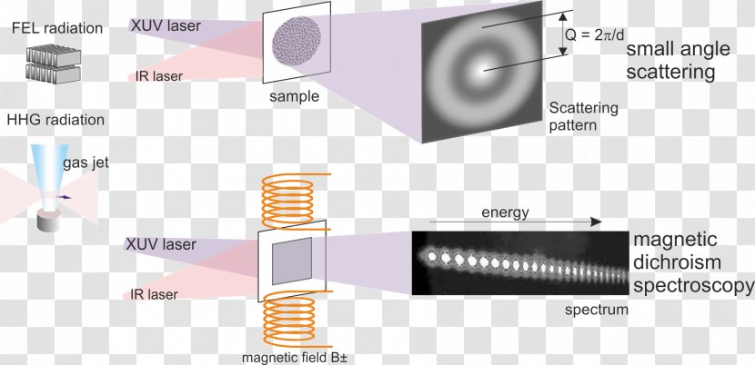 Max Born Institute For Nonlinear Optics And Short Pulse Spectroscopy Small-angle Scattering Magnetism Phonon - Magnetic Field Transparent PNG