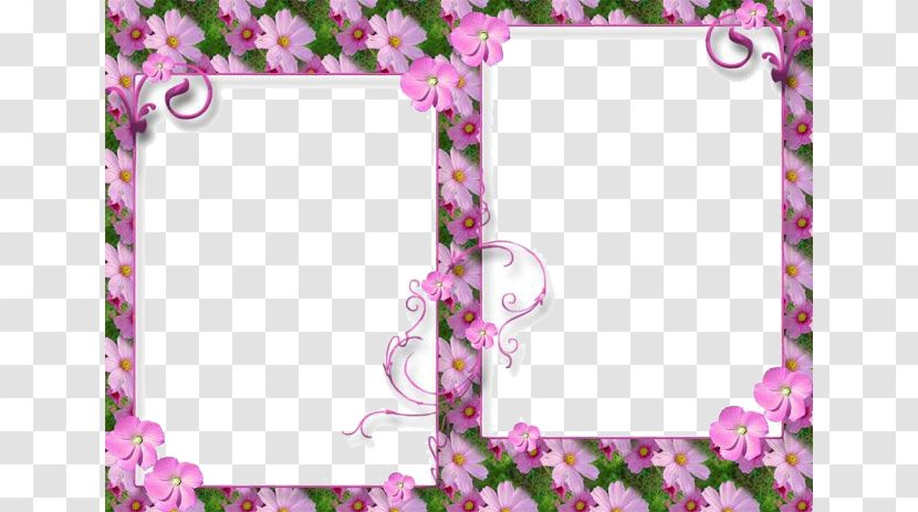 Picture Frame Love - Magenta - Transparent Transparent PNG