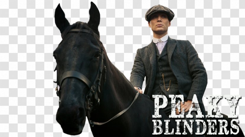 Peaky Blinders - Bridle - Season 4 Television Show Film BlindersSeason 1Peaky Transparent PNG
