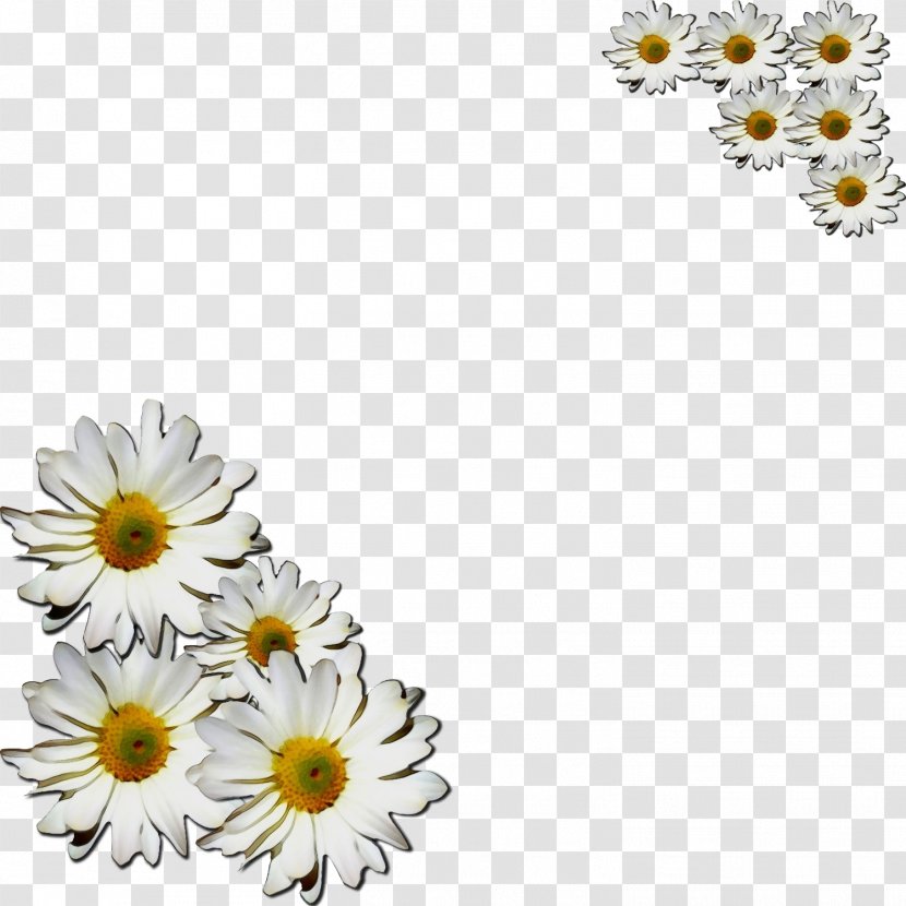 Flowers Background - Wet Ink - Gerbera Petal Transparent PNG