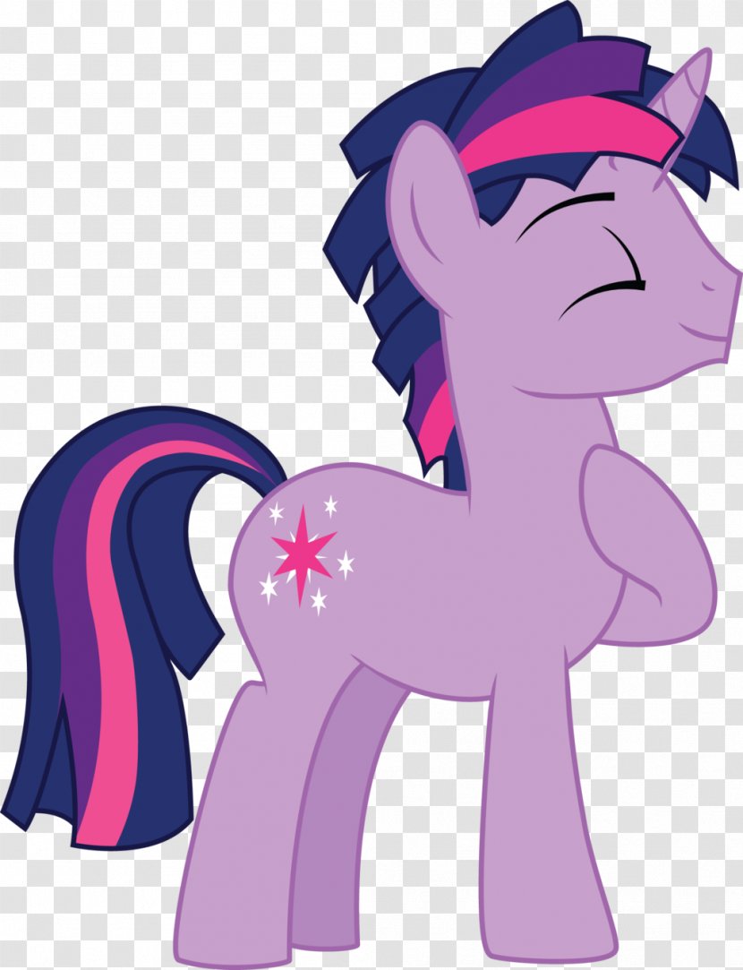 Twilight Sparkle Pinkie Pie Rainbow Dash Princess Cadance Rarity - Flower - Heart Transparent PNG