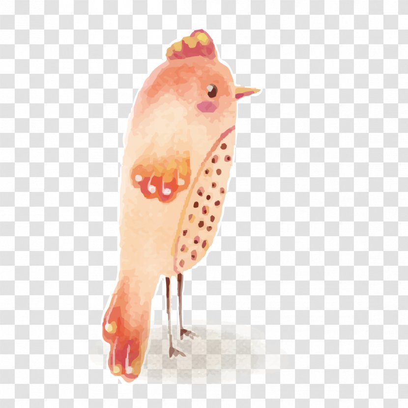 Bird - Water - Pink Cartoon Transparent PNG