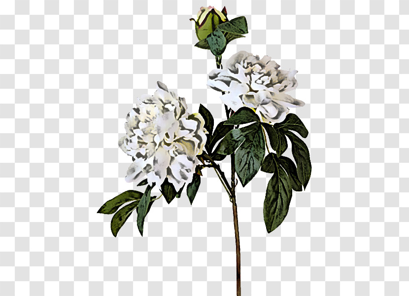 Artificial Flower Transparent PNG