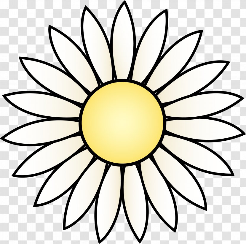 Common Sunflower Drawing White Black Clip Art - Symmetry - Transparent Daisy Cliparts Transparent PNG