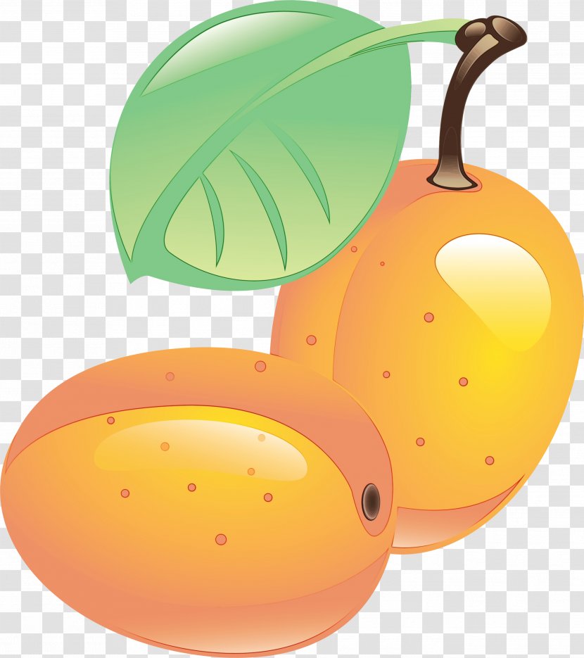 Orange - Watercolor - Drupe Food Transparent PNG