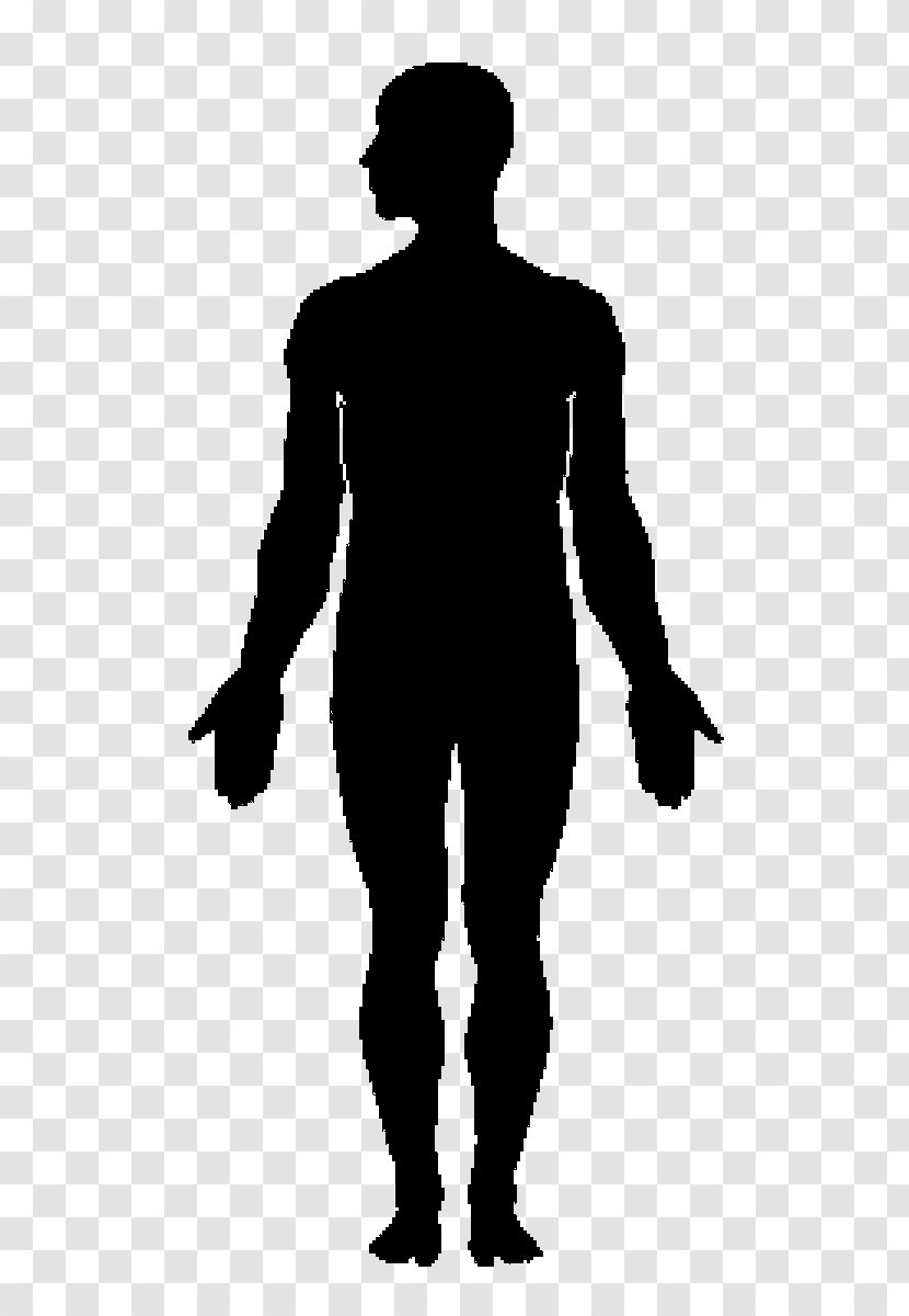 Human Body Silhouette Clip Art - Behavior Transparent PNG