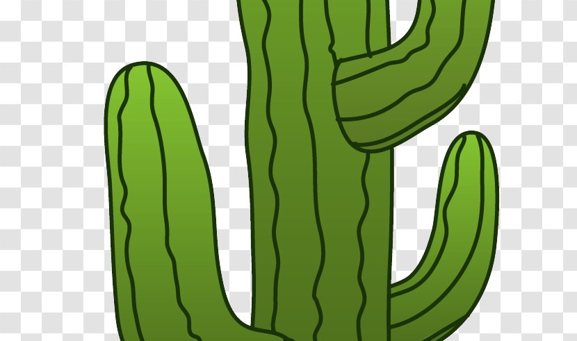 Cactaceae Saguaro Clip Art - Plant - Hand-painted Vegetable Transparent PNG