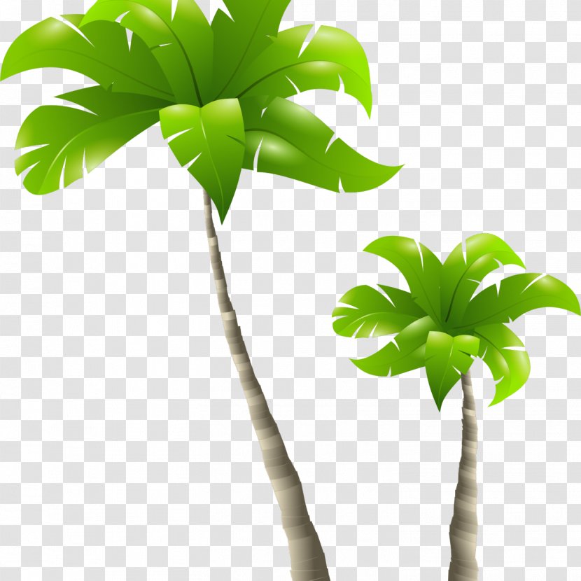 Arecaceae Tree Clip Art - Flowerpot - Palm Transparent PNG