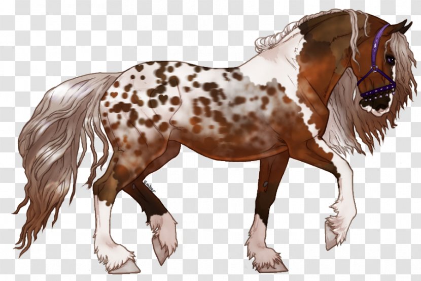 Mane Mustang Stallion Pony Foal Transparent PNG