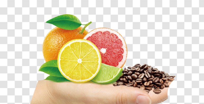 Juice Bitter Orange Flavor Lemon - Fruit - Ginseng Sprout Transparent PNG